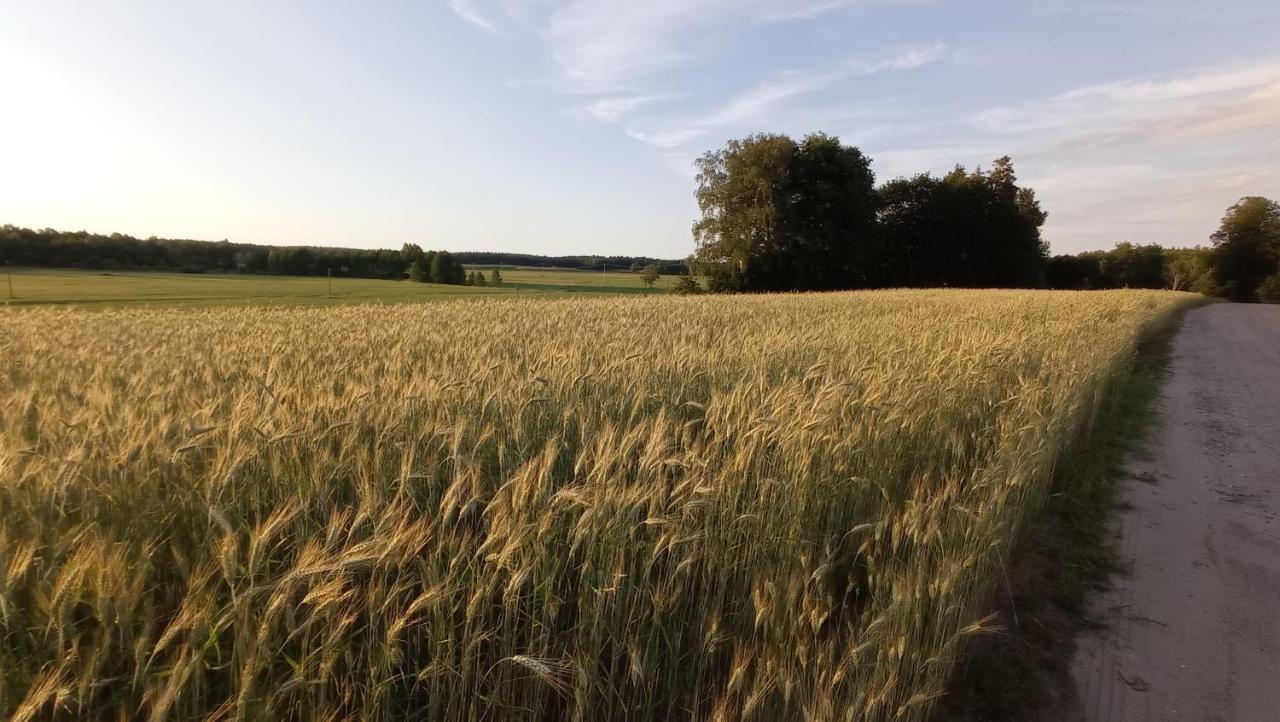 Villa Radunska Ostoja Dziemiany Esterno foto